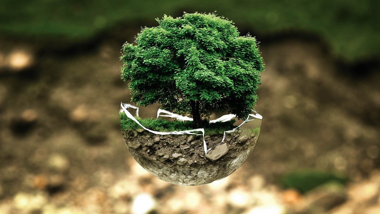 artistic tree growing out of earthen pot that resembles the world