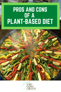 pros and cons of a plant based diet pin1