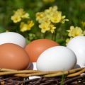 brown and white eggs with yellow flowers in background