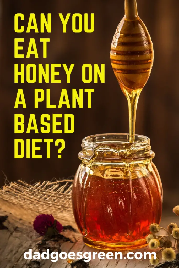 CAN YOU EAT HONEY ON A PLANT BASED DIET? - Dad Goes Green