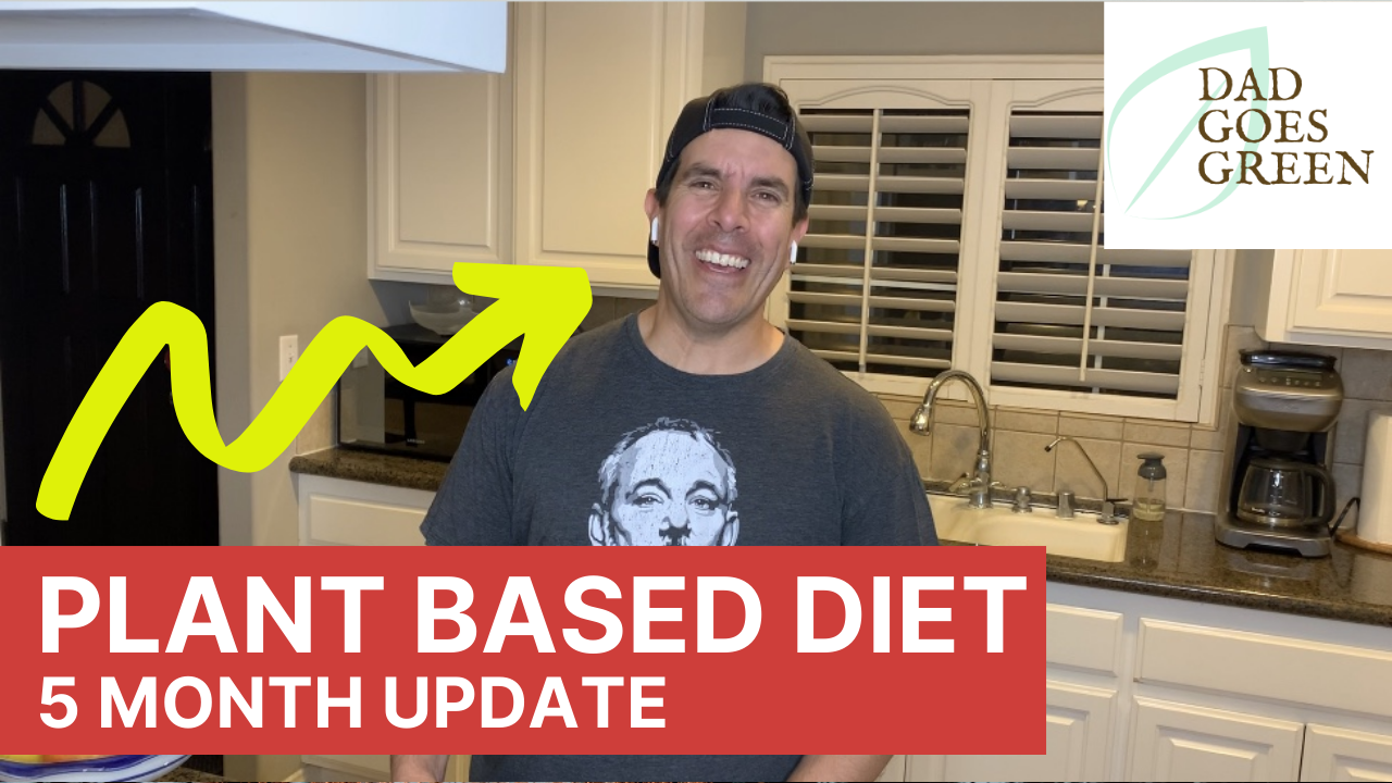 plant based diet 5 month update thumbnail