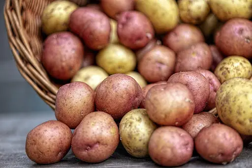 CAN YOU EAT POTATO ON A PLANT BASED DIET? - Dad Goes Green