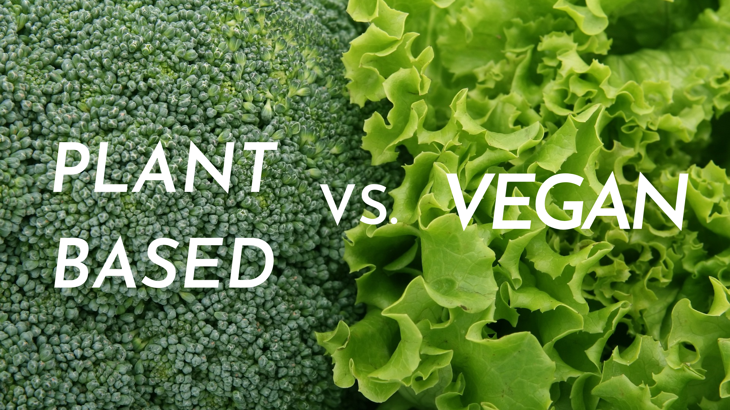 Plant Based Diet Vs Vegan Whats The Difference Dad Goes Green 8366