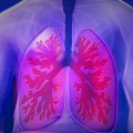 lung graphic