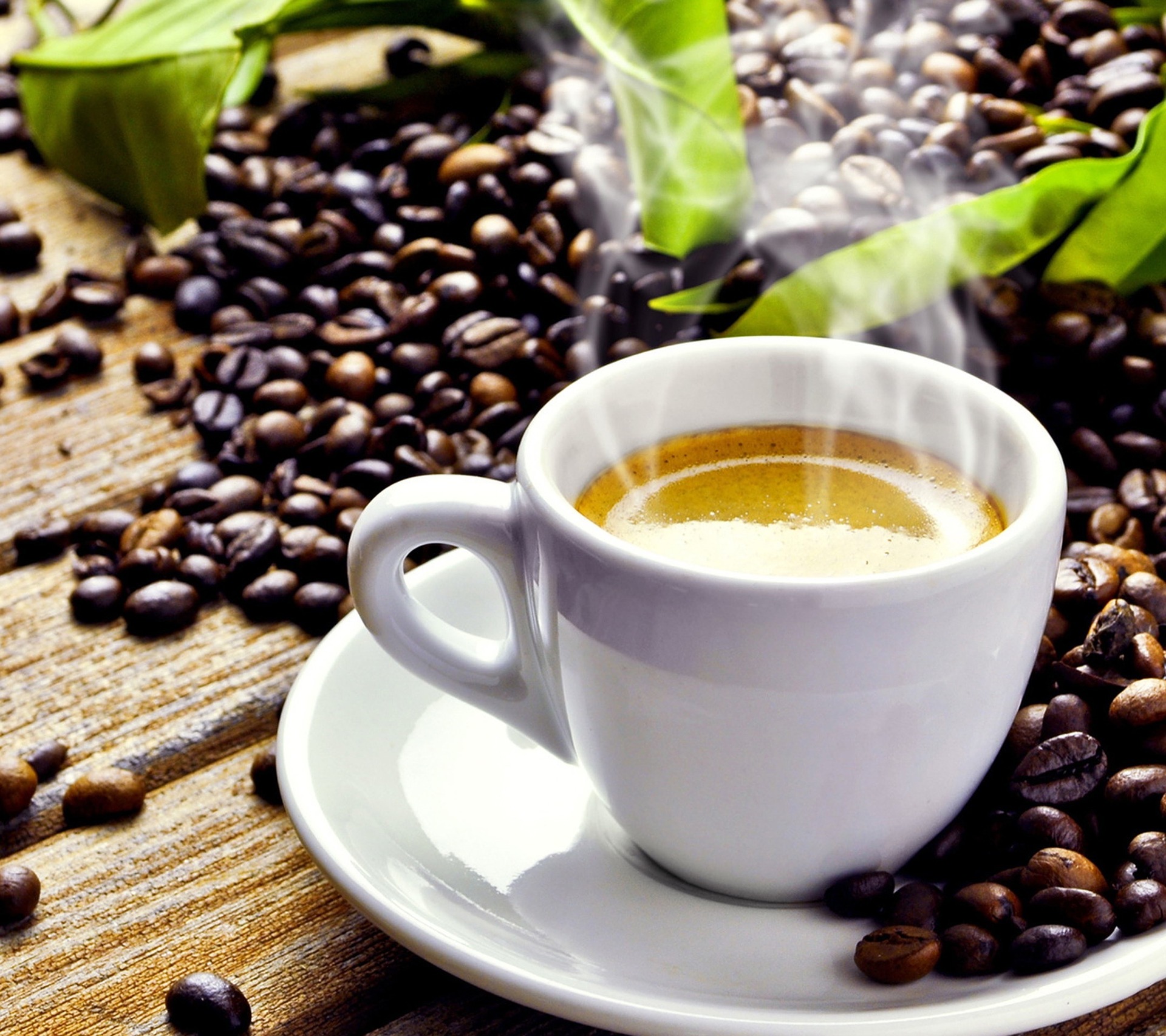 CAN YOU DRINK COFFEE ON A PLANT-BASED DIET? - Dad Goes Green