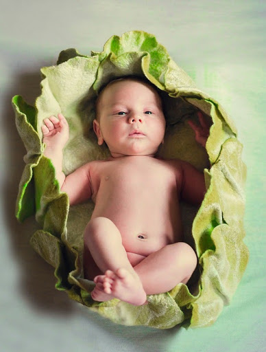 newborn in greens