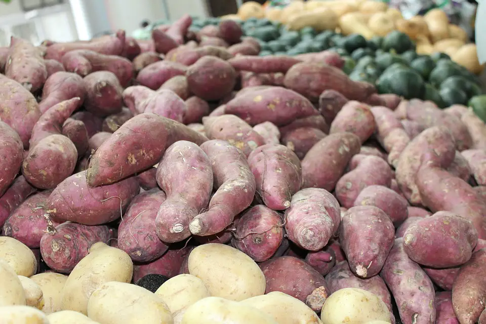 how-to-cook-purple-sweet-potatoes-dad-goes-green